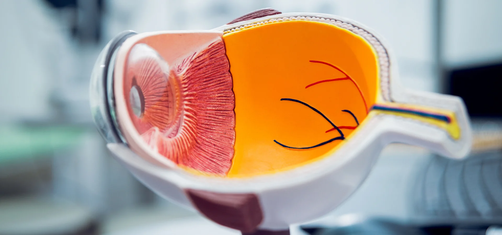 Comprehensive eye examination at Eyecare Concepts Melbourne